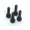 M2.5x6mm 450 Motor Mount Hex Cap Screw (4pcs)