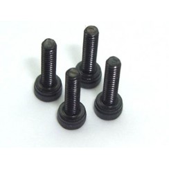 M2.5x6mm 450 Motor Mount Hex Cap Screw (4pcs)