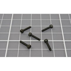 Hex Screw M2x10mm (5pcs/set)